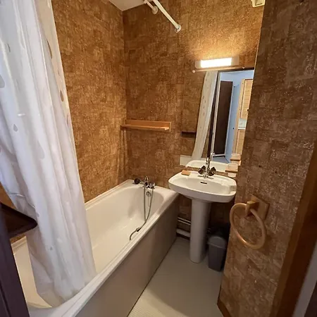 Confortable Proche Pistes & Commerces - Fr-1-787-95 Laveissière